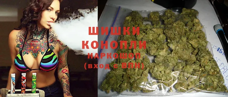 Бошки Шишки Ganja  mega как зайти  Кохма  купить наркотик 